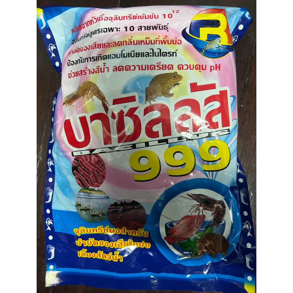 1 กิโลกรัม บาซิลลัส 999 จุลินทรีย์ผง สำหรับบำบัดน้ำเสียในบ่อเลี้ยงสัตว์น้ำ