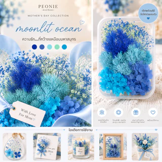 ดอกไฮเดรนเยียแห้ง Preserved Hydrangea กลีบดอกไม้แห้ง DIY เรซิ่น เทียนหอม ตกแต่งการ์ด ดอกไม้พรีเสิร์ฟ (โทนเย็น)