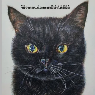 คอร์สออนไลน์วาดสัตว์เลี้ยงเหมือนจริงเทคนิคสีไม้