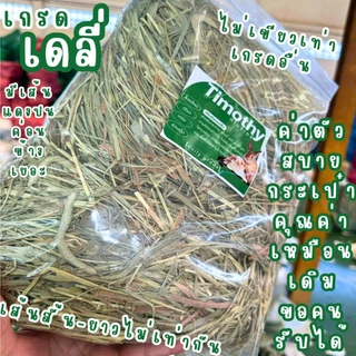 หญ้ากระต่าย ทิมโมธี ร่อนฝุ่น เขียวหอม เกรดนำเข้า เส้นนิ่ม 1กก