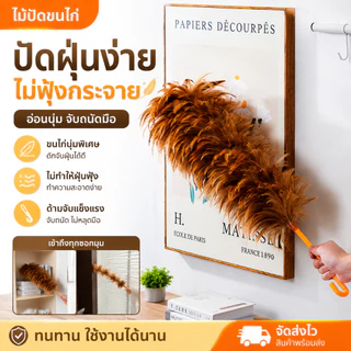 HN ไม้ปัดฝุ่นขนไก่ 70 ซม พร้อมตะขอ ขนฟูหนาแน่น ไม่หลุดง่าย ดักฝุ่นดี และจัดเก็บง่าย ใช้ทำความสะอาดบ้าน