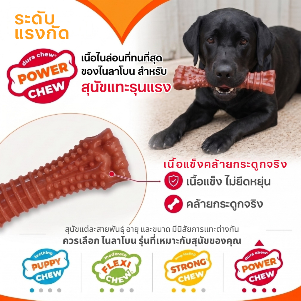 Nylabone عظمة مضغ Power Chew ‏Textured Knuckle — صنع في أمريكا — صورة 6