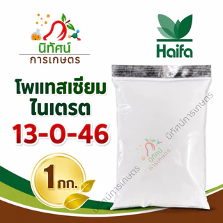 โพแทสเซียมไนเตรต 13-0-46 ตราไฮฟา เปิดตราดอก เพิ่มน้ำหนักขยายผล เพิ่มความหวานและสีสัน ปริมาณ 1 กิโลกรัม