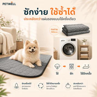 แผ่นรองฉี่สำหรับสัตว์เลี้ยง PETWELL สามารถนำกลับมาใช้ใหม่ ซักได้ กันลื่น ระบายอากาศได้ดี และเหมาะสำหรับการฝึกฉี่ลูกสุนัข