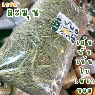 🎉best 1st🎉 📌มี7เกรดมีทุกแบบในไทย หญ้ากระต่ายทิมโมธี