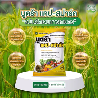 ชุดโคตรคุ้มรวงทอง (พรีเมียมเชื้อรา)+สโตร์เร้น ข้าวระยะรับท้อง รับรวงและไล่ก้ม ป้องกันและเก่งเชื้อรา ทุกชนิด ครอบคลุม