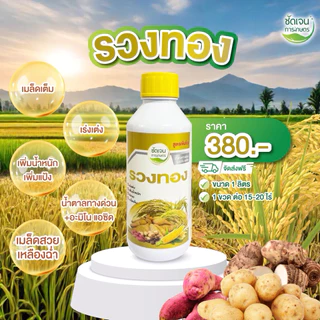 ชุดโคตรคุ้มรวงทอง (พรีเมียมเชื้อรา)+สโตร์เร้น ข้าวระยะรับท้อง รับรวงและไล่ก้ม ป้องกันและเก่งเชื้อรา ทุกชนิด ครอบคลุม