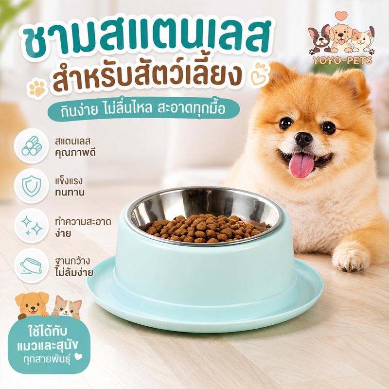 ชามอาหารสัตว์สแตนเลส ชามอาหารแมว ชามอาหารสุนัข ฐานกว้าง กันลื่น ถอดล้างง่าย