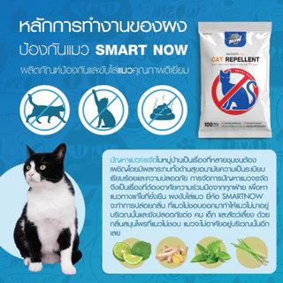 ไล่แมว ไล่แมวจร ป้องกันการขับถ่าย ชนิดผง smartnow