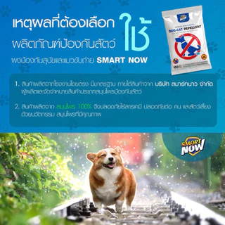 ไล่หมา ป้องกันสุนัข ป้องกันสุนัขขับถ่าย เข้มข้น 2 in 1