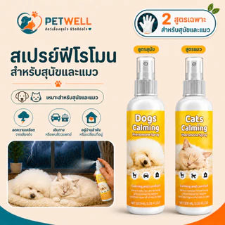 สเปรย์ฟีโรโมนแมว PETWELL ระงับการเป็นสัด ผ่อนคลายอารมณ์ ส่งเสริมการนอนหลับ ไม่มีผลข้างเคียง 100ml