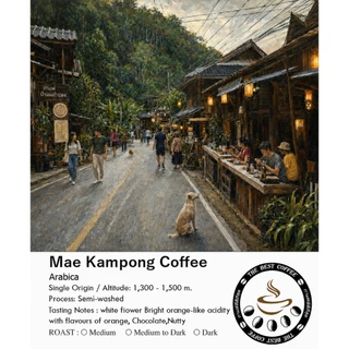 เมล็ดกาแฟคั่ว จากแม่กำปอง กาเเฟออเเกนิก ปลูกในป่าธรรมชาติ