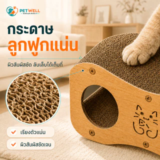 แผ่นขูดสำหรับแมวและบ้านแมว PETWELL แบบสองชั้นสำหรับฤดูร้อน ทนทานต่อการสึกหรอ ไม่หลุดร่วง