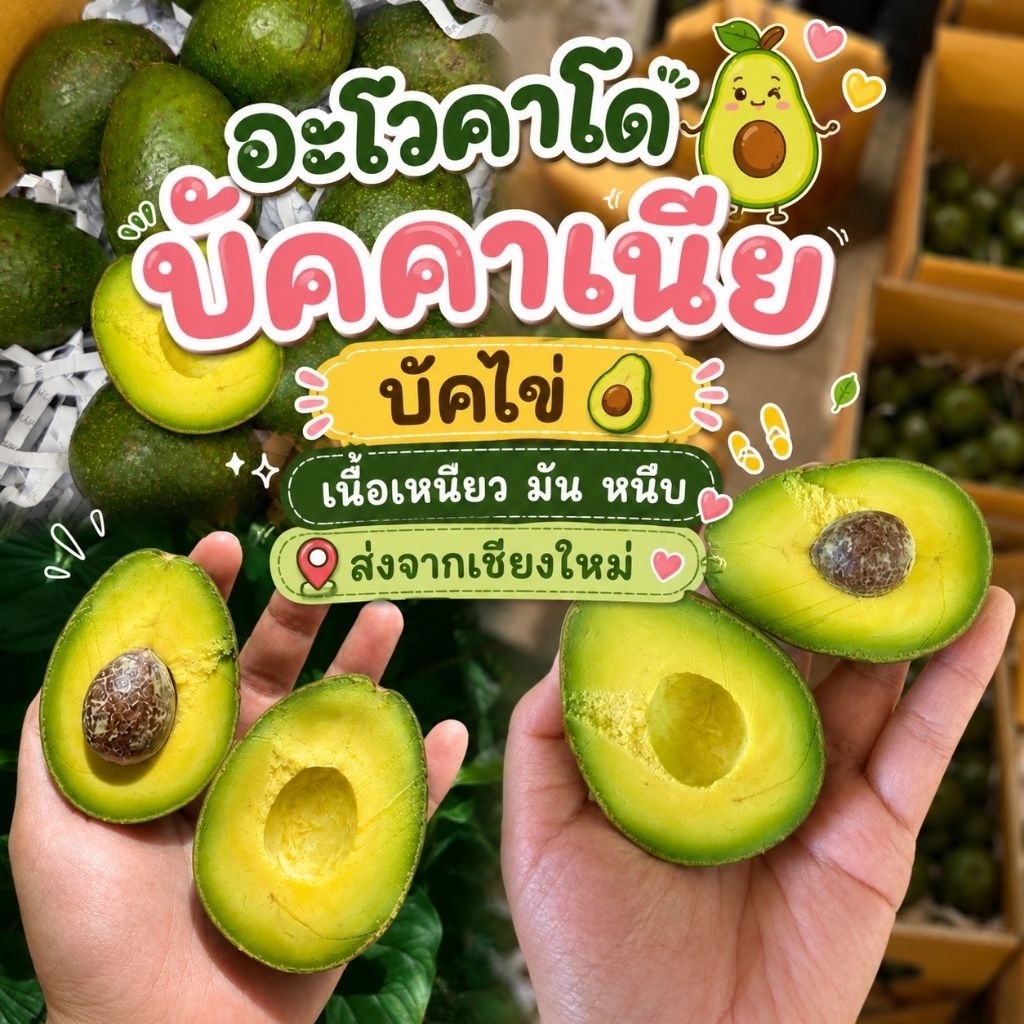 อะโวคาโด้ ✅ 5โล ส่งฟรี ‼️ อะโวคาโด้   🥑🥑