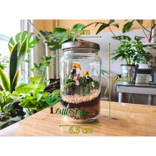 สวนขวด DIY ชุดจัดสวน ไซต์ S เบสิค ราคา 189 บาท มีสินค้าพร้อมส่ง