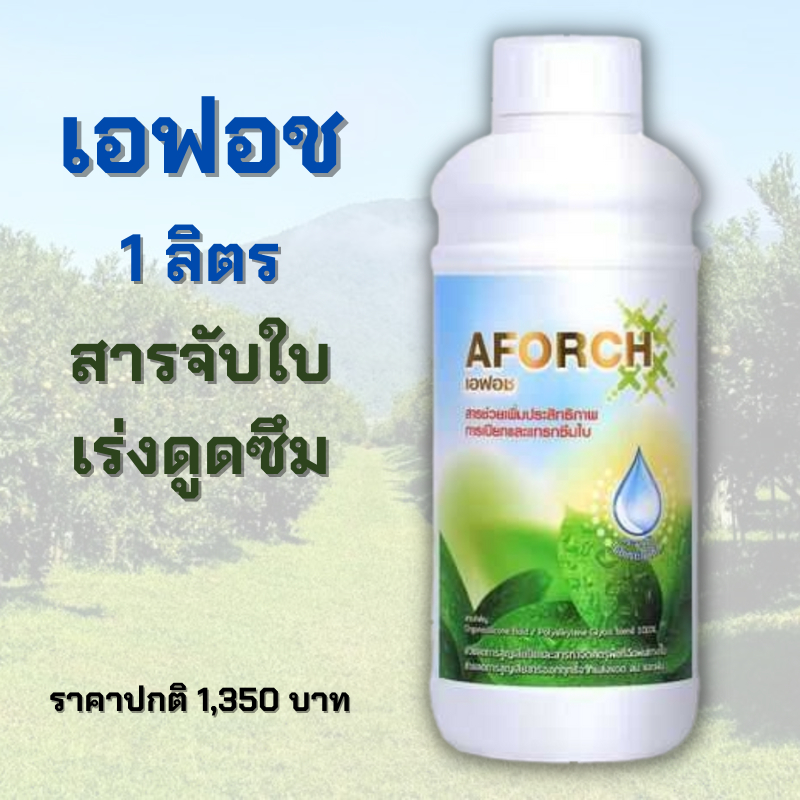 เอฟอช Aforch สารจับใบ ปุ๋ยน้ำเอฟอช บรรจุ 1 ลิตร ชนิดเร่งดูดซึมไว ของแท้ 100%