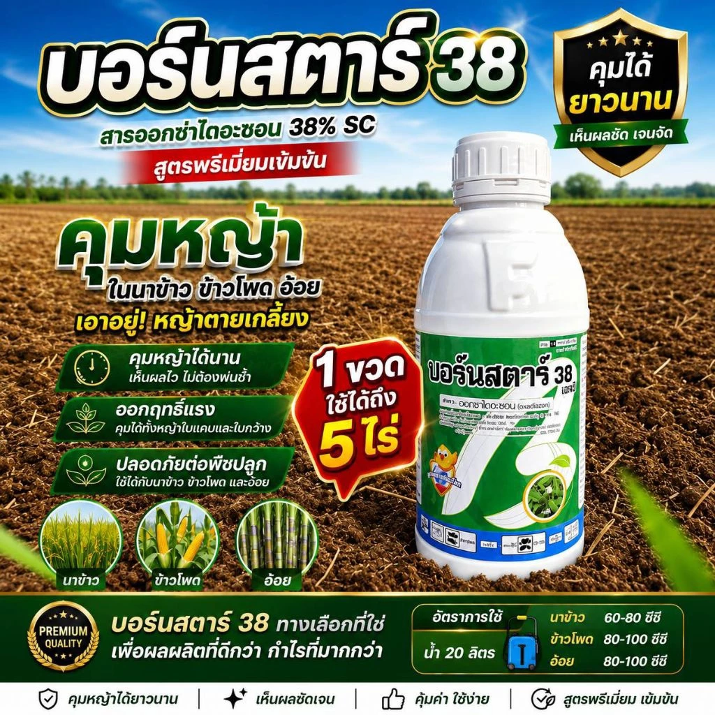 บอร์นสตาร์38 ออกซ่าไดอะซอน38%sc สูตรแรง คุมหญ้าในนาข้าว ข้าวโพด อ้อย
