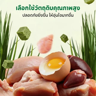 PET RECORD ฟรีซดรายหญ้าแมว 50กรัม ขนมแมวขับก้อนขน สูตรไก่ไข่แดง ช่วยระบายขน บำรุงลำไส้ แมวกินง่าย ไม่ต้องปลูกหญ้าแมว