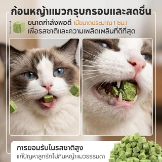 PET RECORD ฟรีซดรายหญ้าแมว 50กรัม ขนมแมวขับก้อนขน สูตรไก่ไข่แดง ช่วยระบายขน บำรุงลำไส้ แมวกินง่าย ไม่ต้องปลูกหญ้าแมว