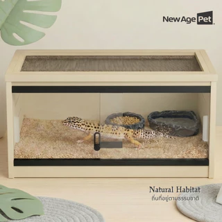NEW AGE PET ชามอาหารสัตว์เลื้อยคลาน ลายหินธรรมชาติ Resin ไม่ลื่น ไม่ขึ้นรา ทำความสะอาดง่าย