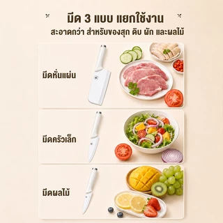 CAMEL ชุดมีดทำครัว 2 ชิ้น มีดปอกผลไม้ กรรไกรครัว วัสดุสแตนเลส ใช้งานสะดวก
