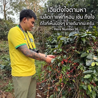 (ร้านโปรโมชั่น) HERE SUPREME BLEND : เมล็ดกาแฟเฮียซูพรีมเบลน : แถมฟรีสูตรเครื่องดื่ม 16 Oz