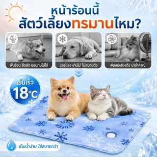 ที่นอนเจลเย็นเตียงสัตว์เลี้ยงสุนัขสากลเก้าอี้เย็นแผ่นทำความเย็น ที่นอนความเย็น และความสะดวกสบาย