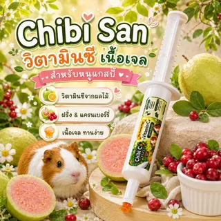 วิตามินซีสำหรับหนูแกสบี้ Chibi San แบบผง แบบน้ำ แบบเจล มี 3 รูปแบบ