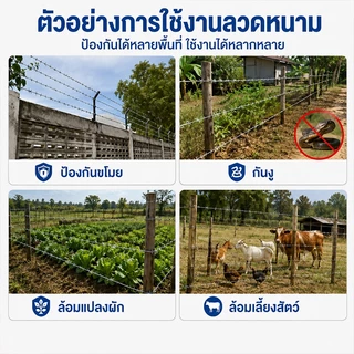 ลวดหนามชุบกัลวาไนซ์ เกรดพรีเมียม ยาว 60-200เมตร หนา2.0-3.0มิล ทนสนิมทนทาน รั้วล้อมรั้ว พร้อมส่ง