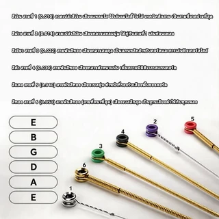 สายกีตาร์ ชุด6เส้น ราคาถูก เบอร์9/10/11/12 จับง่าย เสียงใส สำหรับมือใหม่และมืออาชีพ พร้อมส่ง