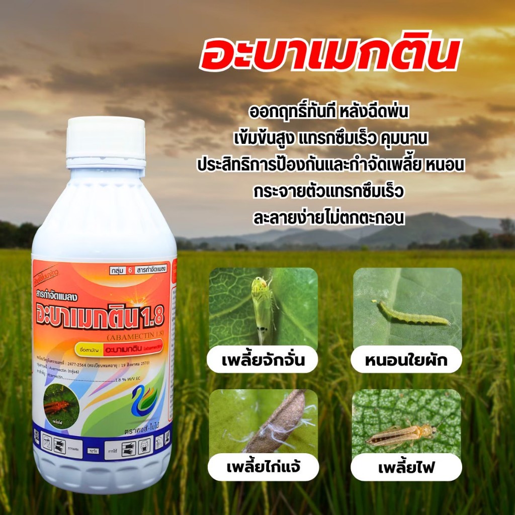 อะบาเมกติน ขนาด 1 ลิตร สูตรเย็น น้ำใส กำจัดหนอนชอนใบ เพลี้ยไฟ หนอนใยผัก