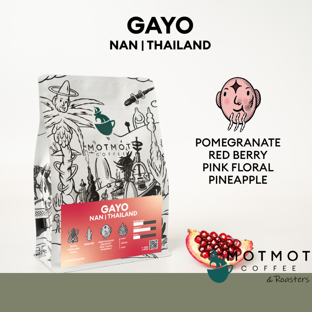 Gayo Nan Thailand (Washed) | เมล็ดกาแฟน่าน  เมล็ดกาแฟไทย อาราบิก้าสายพันธุ์ กาโย จังหวัดน่าน MOTMOT COFFEE
