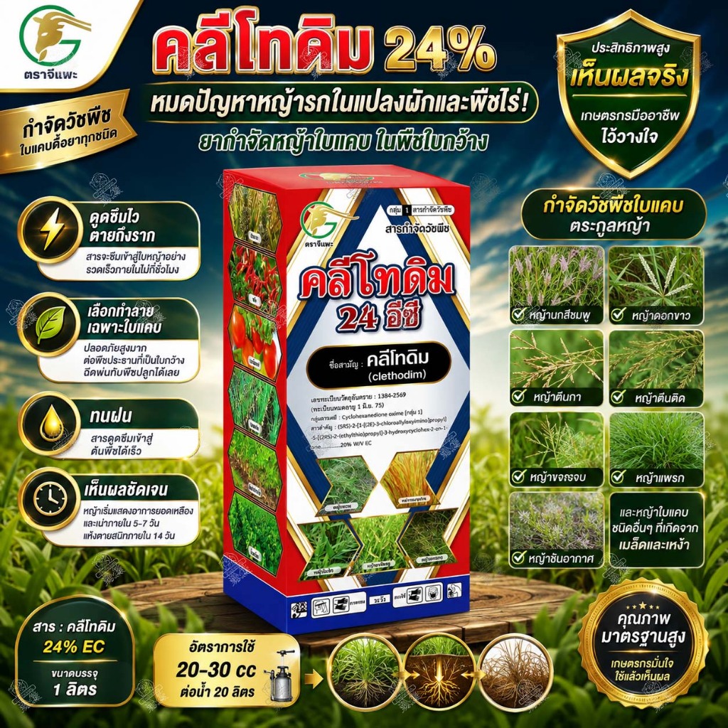 คลีโทดิม 24% (1 ลิตร) ตราจีแพะ ยากำจัดหญ้าใบแคบดื้อยา กำจัดวัชพืชใบแคบ ทุกชนิด ฉีดทับผักได้