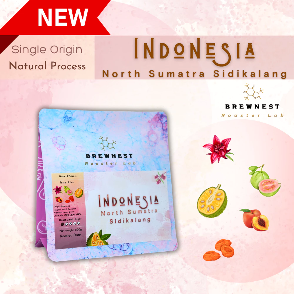 เมล็ดกาแฟคั่วอ่อน Indonesia North Sumatra Sidikalang Natural | Long Berry - BREWNEST Roaster Lab