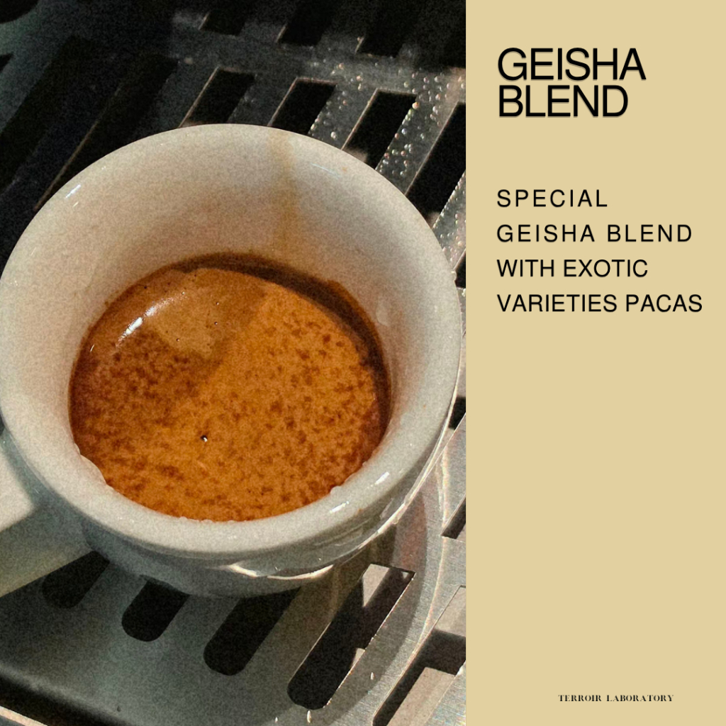 Geisha Blend | Omni Roast | เมล็ดกาแฟ
