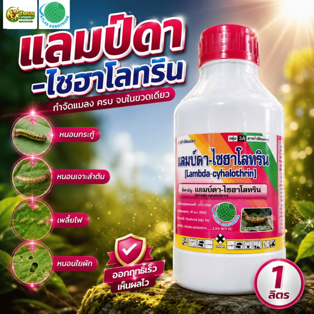 แลมบ์ดา-ไซฮาโลทริน (ขนาด 500cc และ 1 ลิตร) ใช้กำจัดศัตรูพืช แอทลาส