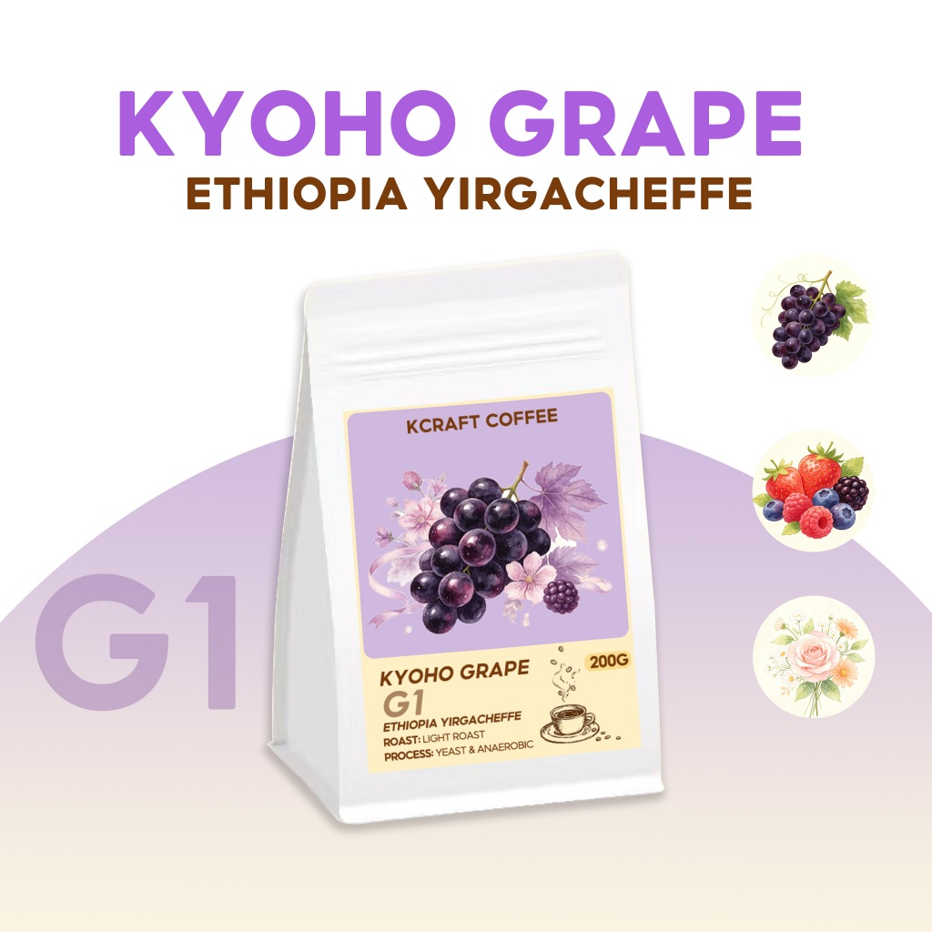 [คั่วใหม่] เมล็ดกาแฟ Ethiopia Yirgacheffe G1 - Kyoho Grape (Specialty Coffee) คั่วอ่อน 200g by Kcraft Coffee