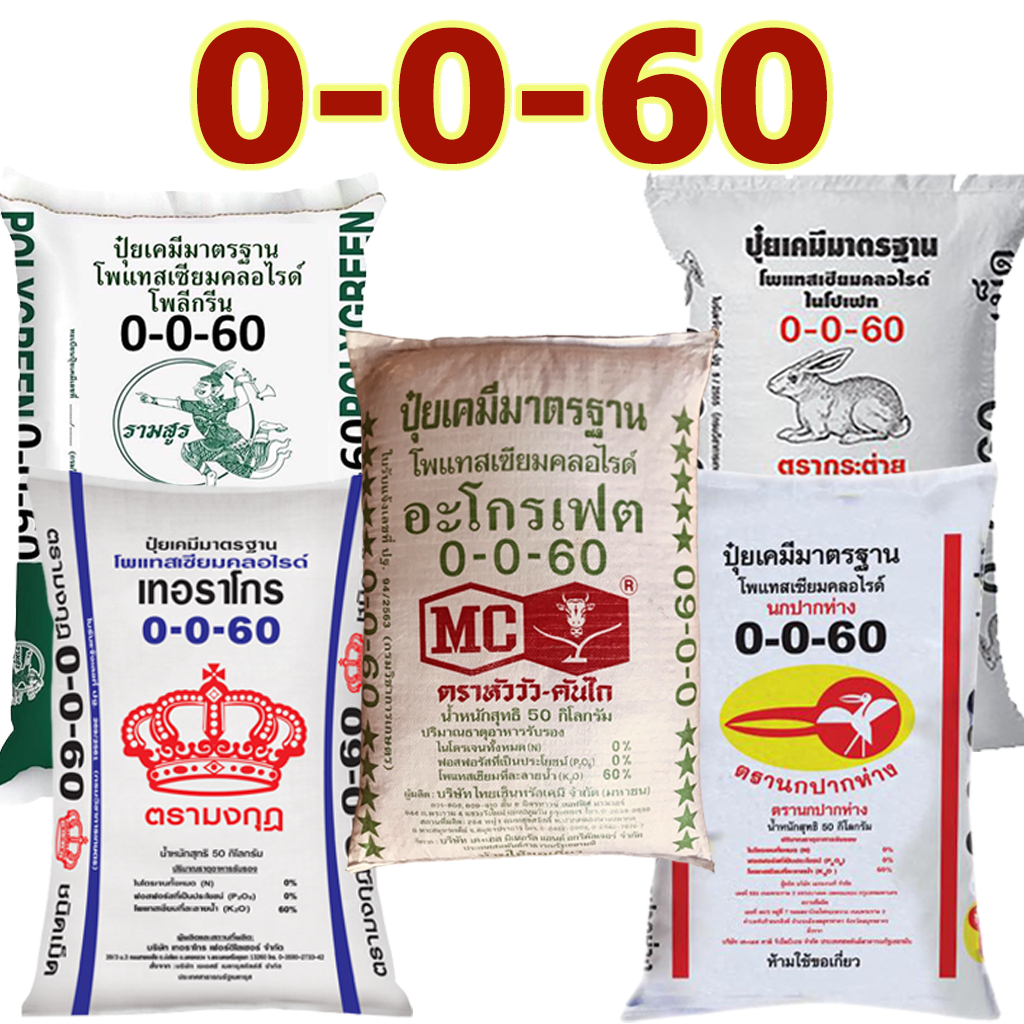 ปุ๋ยเคมี สูตร 0-0-60 ( แม่ปุ๋ย โพแทสเซียม / โพแทสเซียมคลอไรด์ ) 50 กิโลกรัม ร้านทรัพย์อนันต์กิจรุ่งเ