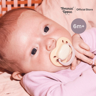 Tommee Tippee لهاية متوهّجة من 6-18 شهرًا للبنات (جديد) صورة 2