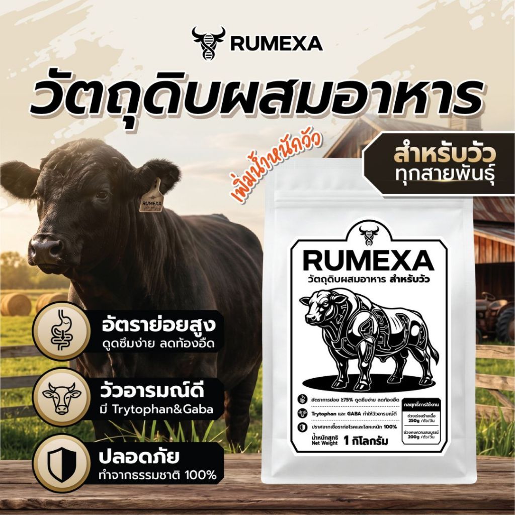โปรตีนวัวขุน RUMEXA ผสมในอาหาร วัวอารมณ์ดี กินเก่ง ย่อยง่าย อ้วนไว ปลอดภัย