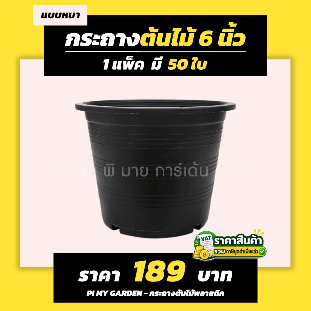 กระถางต้นไม้ แบบกลม 6 นิ้ว สีดำ แพ็ค 50 ใบ