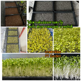 ดินปลูกสำเร็จรูป ดินปลูกผัก Grow Green Soil สูตรออแกนิก ใช้เพาะเมล็ด ปลูกผักสวนครัว ไม้ดอกไม้ประดับ ไม้ฟอกอากาศ 10kg