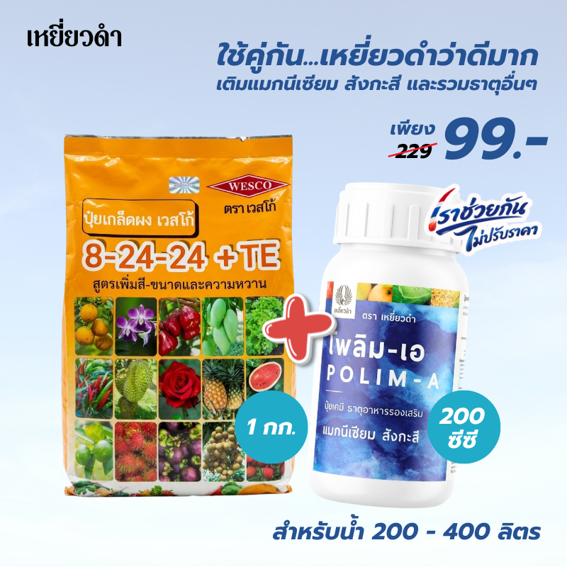 ปุ๋ยเกล็ด เวสโก้ สูตร 8-24-24+TE ปุ๋ยสะสมอาหาร เร่งออกดอก ปุ๋ยหวานขยายผล ปุ๋ยทุเรียน ลำไย มะม่วง ขนาด 1 กก.