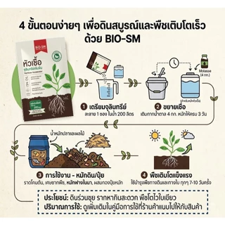 จุลินทรีย์ Biosm ใช้ฟื้นฟูดิน ทำปุ๋ยหมักในซองเดียว ใช้ปรับปรุงบำรุงดิน ย่อยสลายวัสดุอินทรีย์ ขนาด 100 กรัม