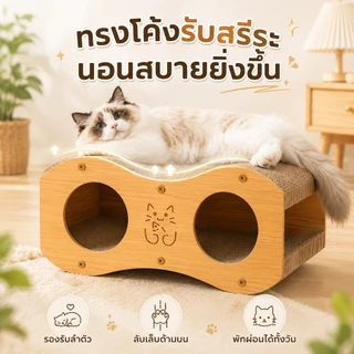 PETWELL ที่ลับเล็บแมว 2 ชั้น พร้อมบ้านแมว ระบายอากาศดี ทนต่อการข่วน ไม่หลุดร่วงง่าย