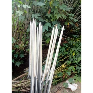 ลูกดอกยิงปลาพอก 10 ซมเหล็ก 4 มิลลิเมตร