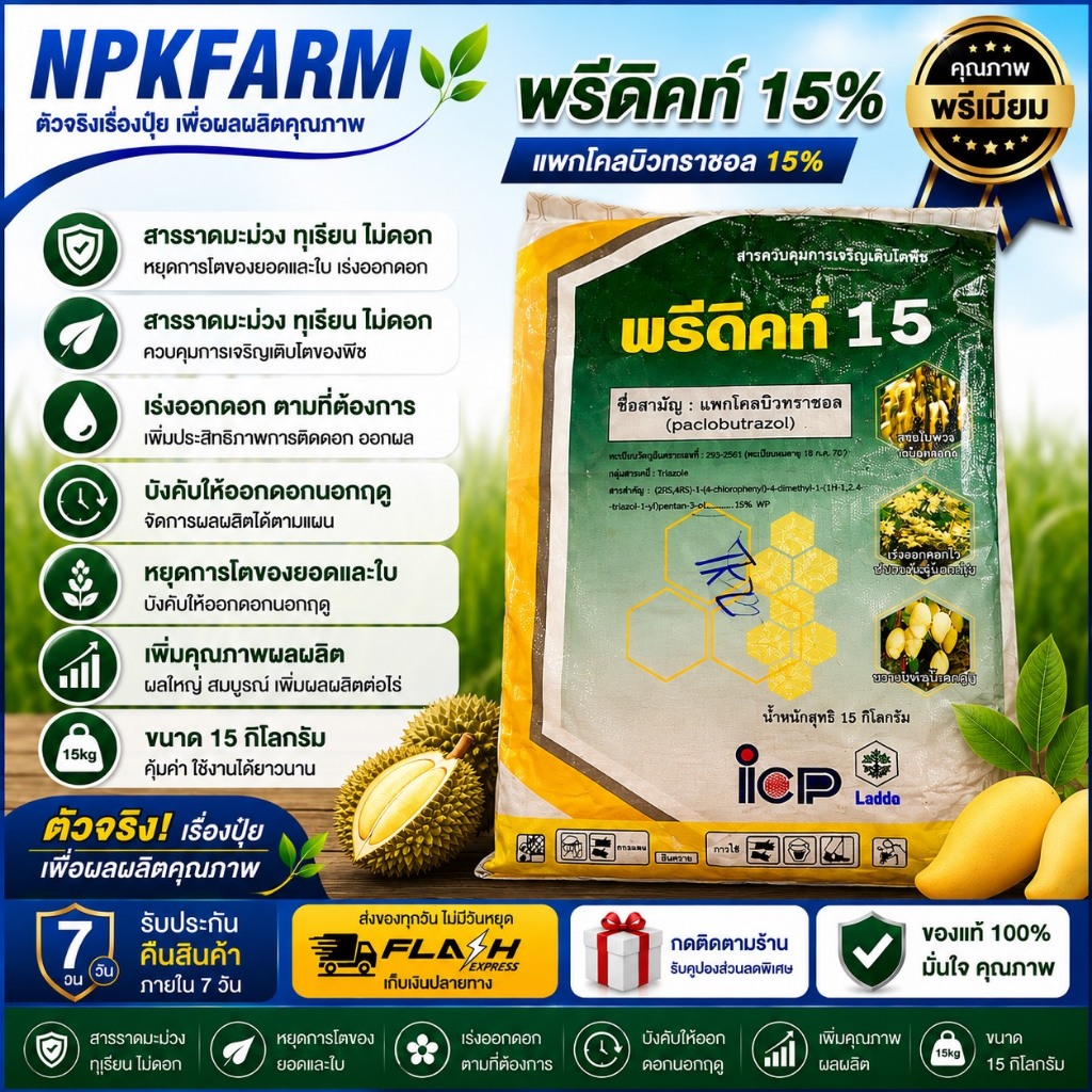 ICP Ladda พรีดิคท์ 15% ขนาด 15 กิโลกรัม หยุดยอด สารราด สารราดมะม่วง ยับยั้งการเจริญเติบโตขอ