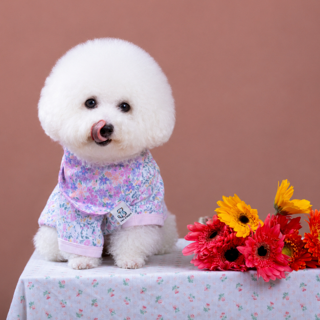 Favchild Camellia Pet Bodysuit