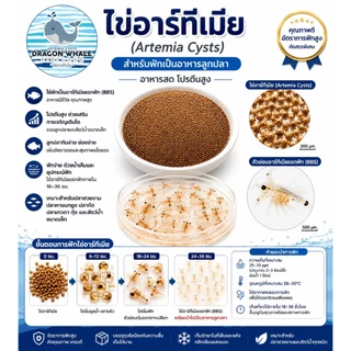ไข่อาร์ทีเมีย Artemia Cysts 425 กรัม ไข่ไรทะเล ชนิดฟัก เกรด A อาหารลูกปลา ลูกกุ้ง น้ำหนักสุทธิ (ไข่)