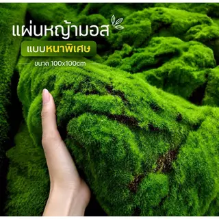 แผ่นหญ้ามอส เหมือนจริง สีเขียวสดสวย ใช้งานได้ยาวนาน ตกแต่งบ้านและสวน (พร้อมส่ง) Moss